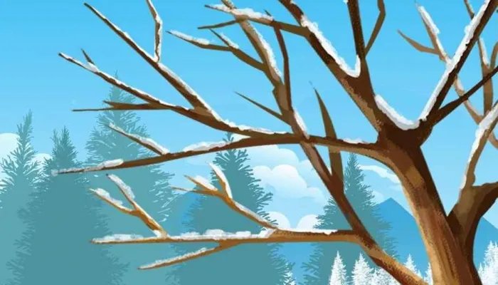 郑板桥的咏雪诗