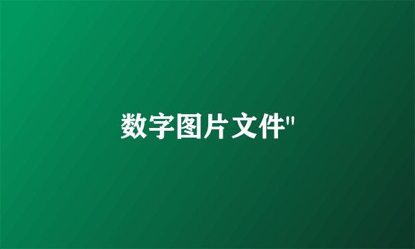数字图片文件