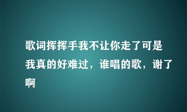 歌词挥挥手我不让你走了可是我真的好难过，谁唱的歌，谢了啊