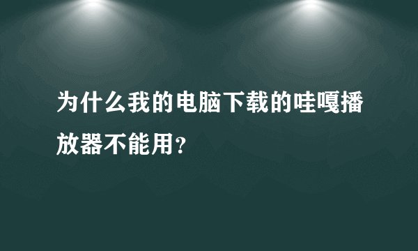 为什么我的电脑下载的哇嘎播放器不能用？