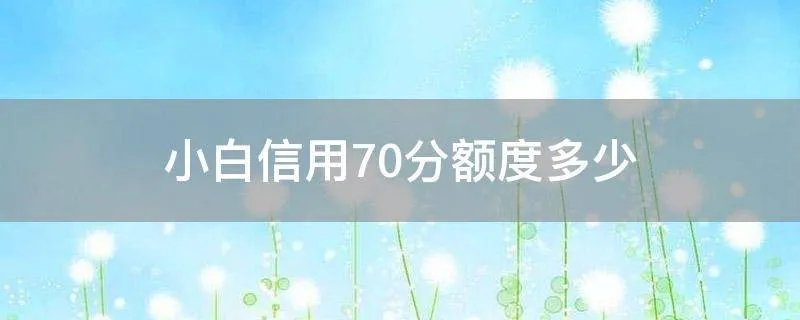 小白信用70分额度多少