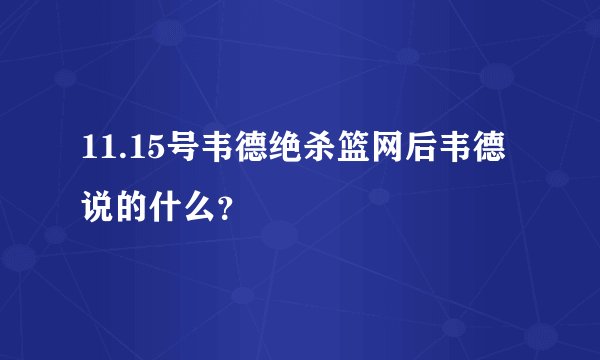 11.15号韦德绝杀篮网后韦德说的什么？