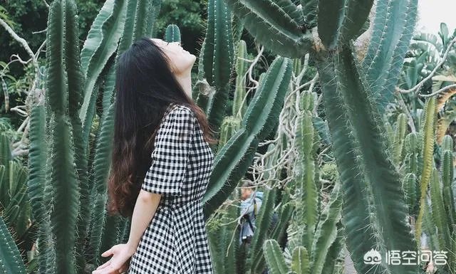 想去厦门自助游，有攻略推荐吗？