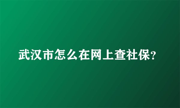 武汉市怎么在网上查社保？