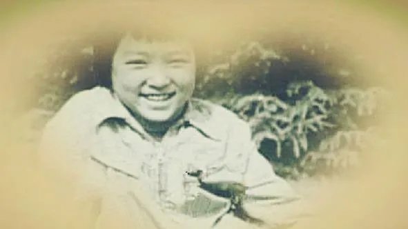 董卿倪萍两代央视一姐罕见合体，风光无限的她们为何泪流满面？