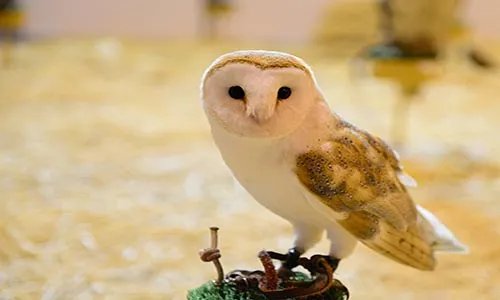 真的不要轻易说爱我，爱我要一辈子，准备好才说，说了不准反悔当我开始喜欢你，我会这样问你。