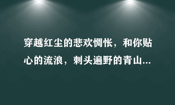 穿越红尘的悲欢惆怅，和你贴心的流浪，刺头遍野的青山和荒凉，....这是什么歌？拜托了请告诉我一下。