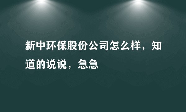 新中环保股份公司怎么样，知道的说说，急急