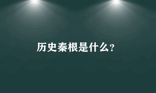 历史秦根是什么？