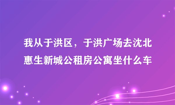 我从于洪区，于洪广场去沈北惠生新城公租房公寓坐什么车