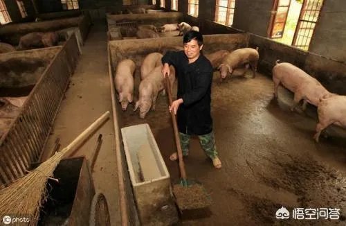 如何处理畜禽粪便？