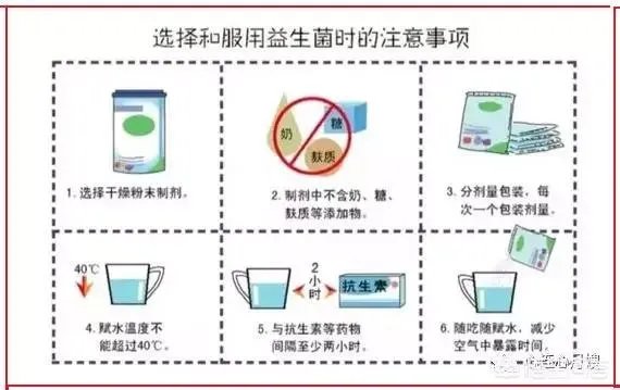 你们买益生菌的话都是买什么品牌的？