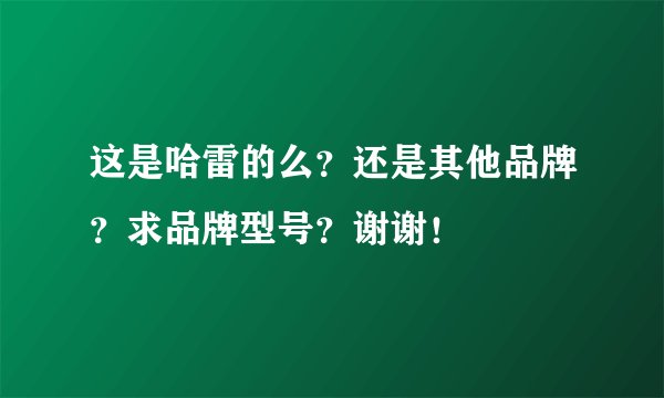 这是哈雷的么？还是其他品牌？求品牌型号？谢谢！