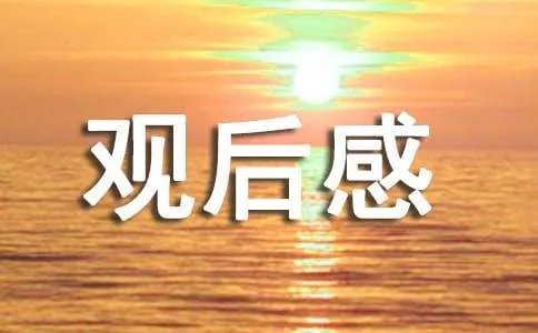 《驯龙记》的观后感