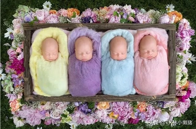 深圳宝妈生下双龙双凤四胞胎，已顺利出院，怀上多胞胎的原因是什么？