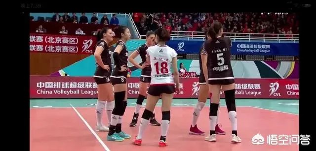 2018-2019女排全明星赛即将开赛，有哪些看点？你期待吗？