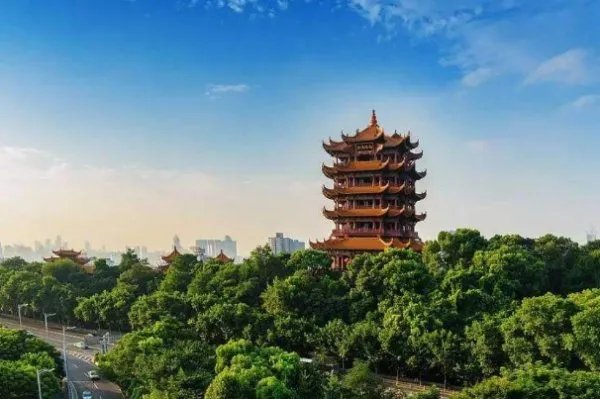 湖北大学老师梁艳萍被停职，她做了什么错事？