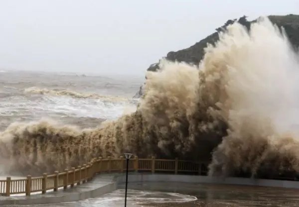 台风米克拉即将登陆福建，面对台风要做哪些预防措施？