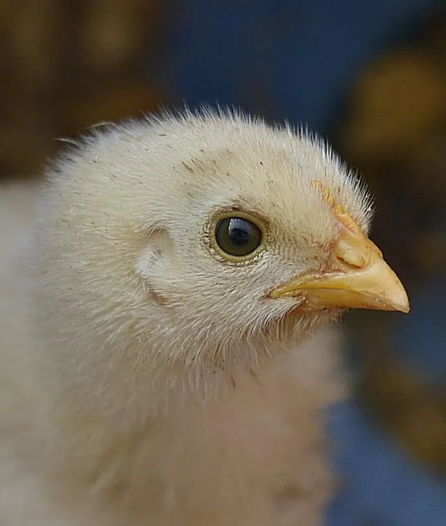 江汉大学文理学院怎么样？