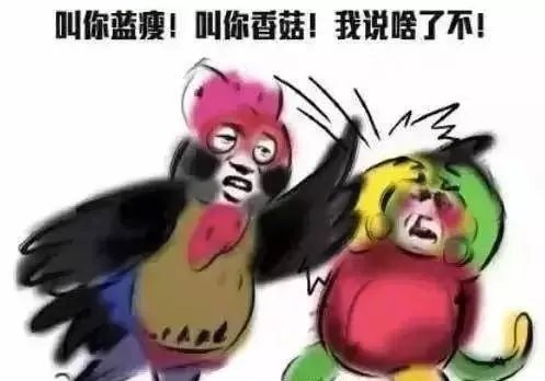 鸡年春晚吉祥物有毒：我跟外面的妖艳贱鸡不一样！