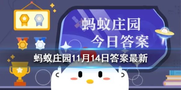 吃核桃真的可以补脑吗 蚂蚁庄园多吃核桃