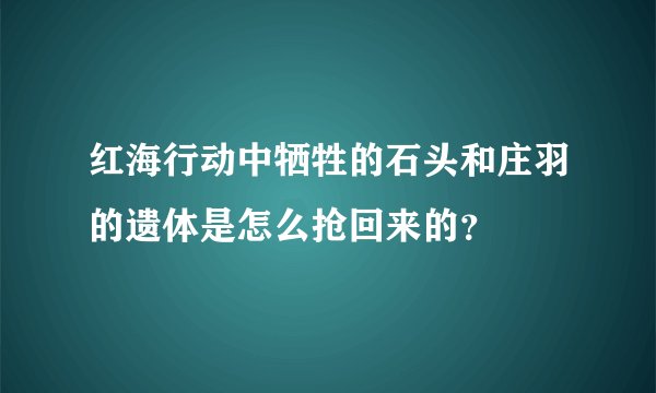 红海行动中牺牲的石头和庄羽的遗体是怎么抢回来的？