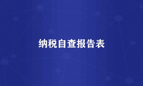 纳税自查报告表