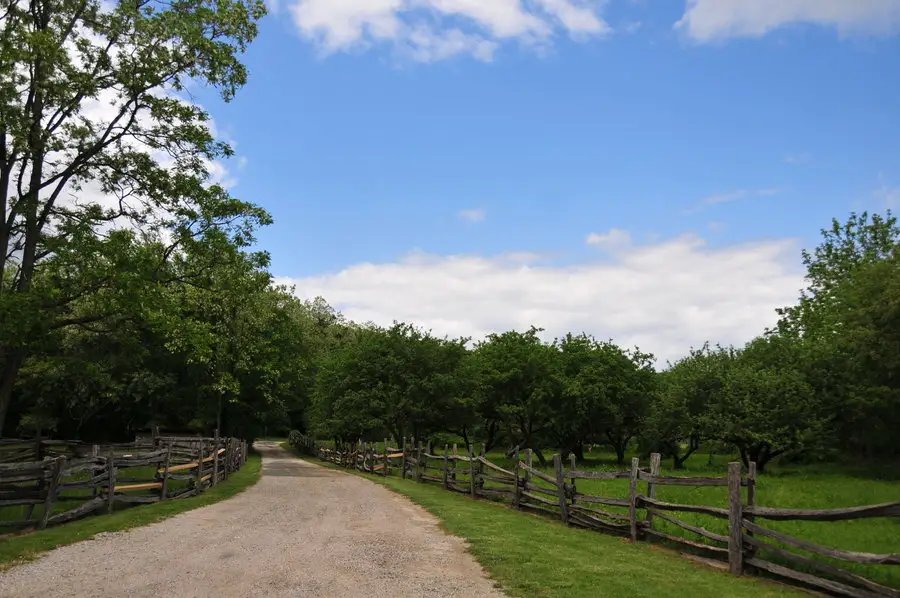 2021最洋气的网名，2021最火的新网名有哪些？