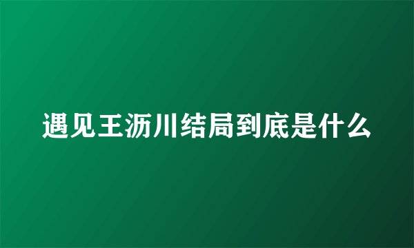 遇见王沥川结局到底是什么