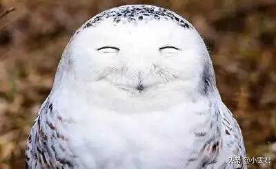 生活中见过的最“雷”的人名是什么？