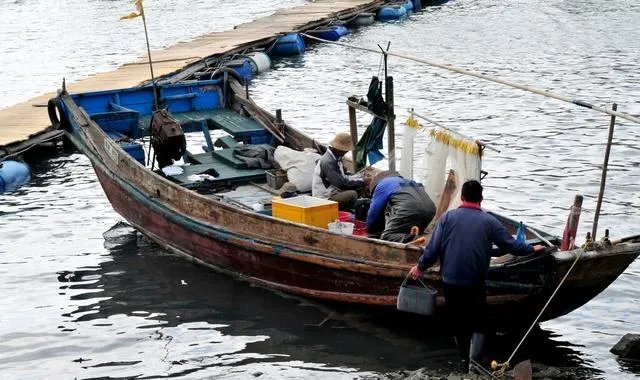 惠州惠东港口镇好不好玩，听说有很多海鲜？