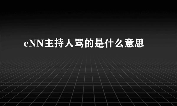 cNN主持人骂的是什么意思