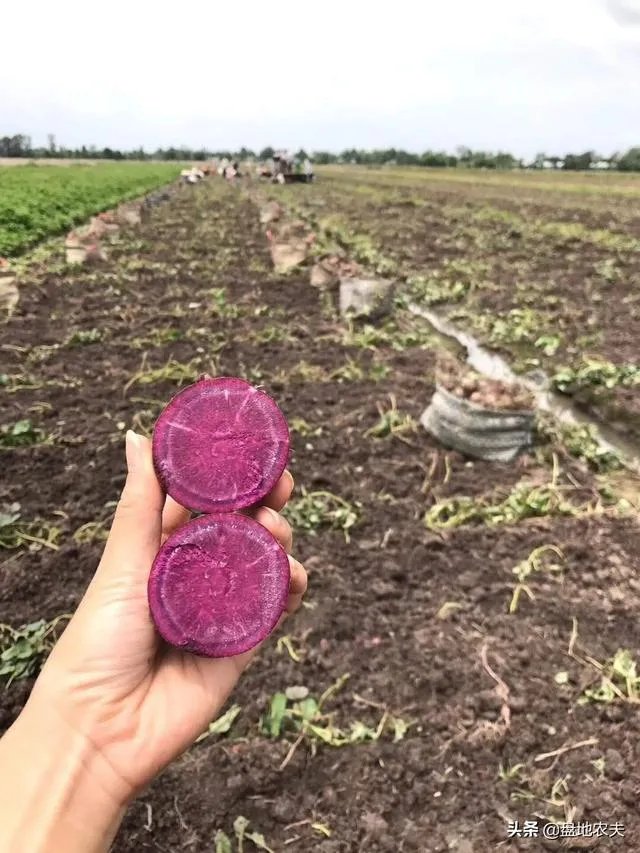 越南什么时候可以入境中国