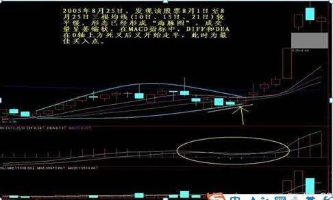 短线黑马选股绝技？