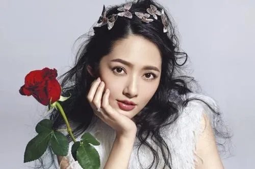 谢娜晒与张碧晨是如何有利的回击造谣者的？