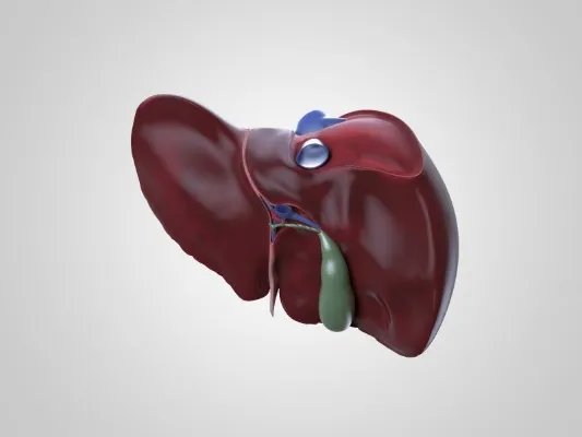 肝癌早期治疗方法