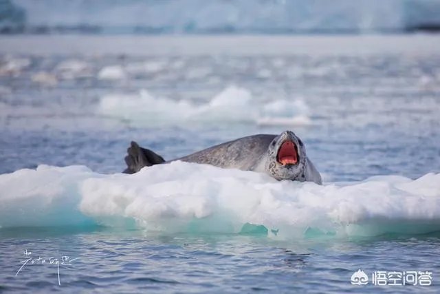 旅行途中你都见过哪些罕见的风景？