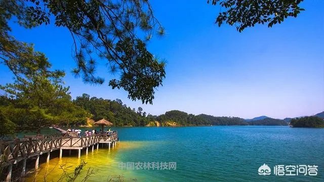 从化位于广东哪里？