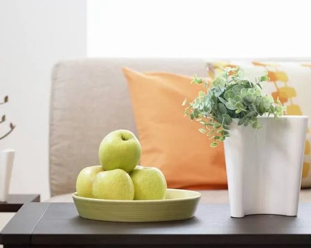 新装修的房子用什么除味 五个妙招教你新房怎么除味