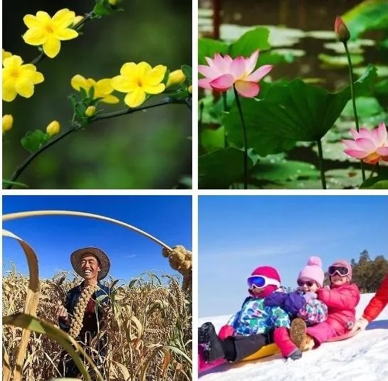 幸福其实很简单，是这样的吗？