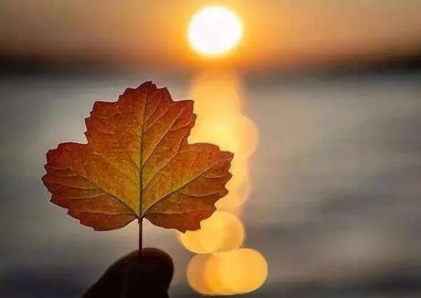 伤感语录 痛到心里