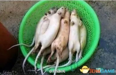 老鼠肉假冒羊肉网友引围观 食品安全究竟谁来管？