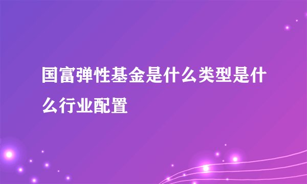 国富弹性基金是什么类型是什么行业配置