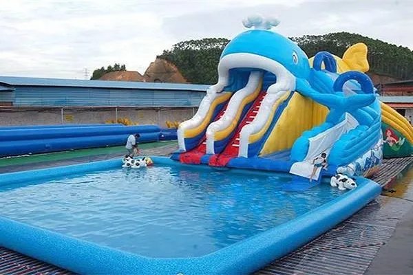 花百万建水上乐园的村支书该怎样带领村民致富？