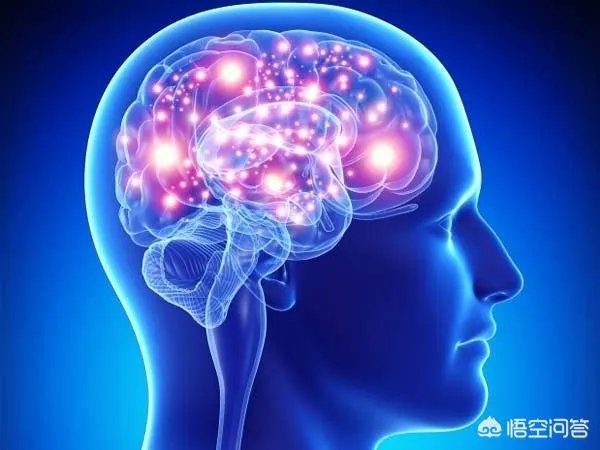 有哪些可以测智商的小游戏?