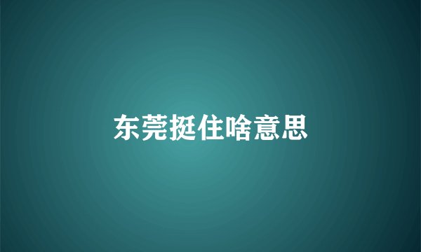东莞挺住啥意思