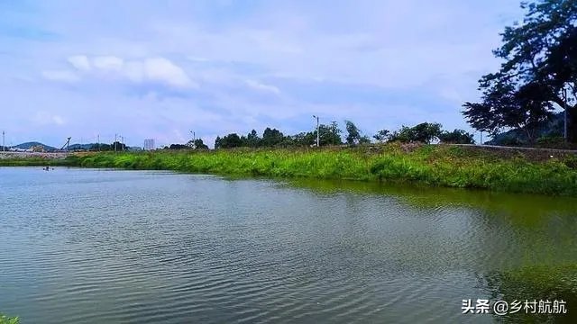 农户在集体荒地上种植竹子，成林后被偷砍且挖掉，能得到赔偿吗？有何依据？