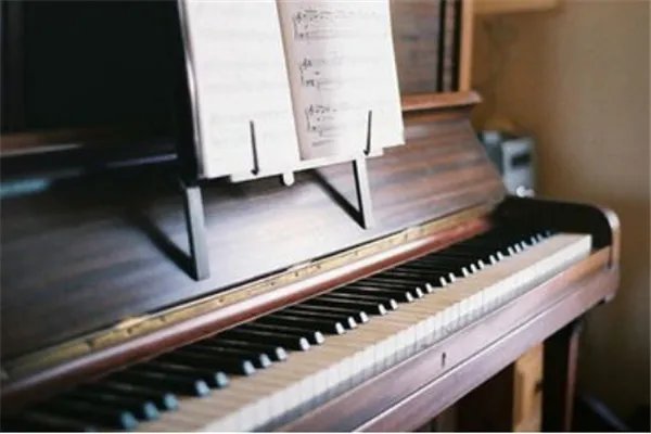 钢琴培训机构加盟排名：掌门陪练上榜，柏斯琴行第四