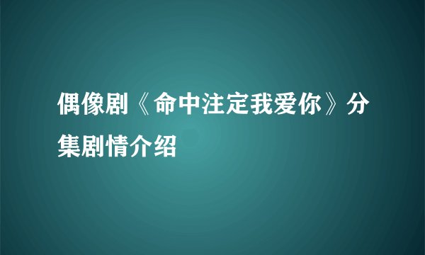 偶像剧《命中注定我爱你》分集剧情介绍