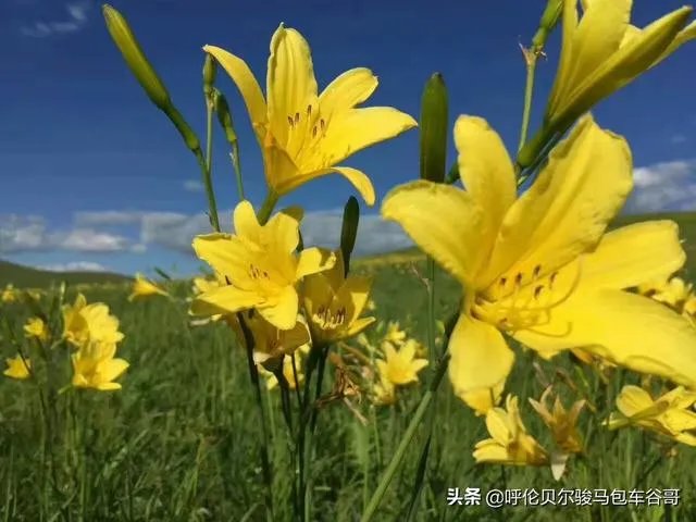 尼康d300s怎么样？